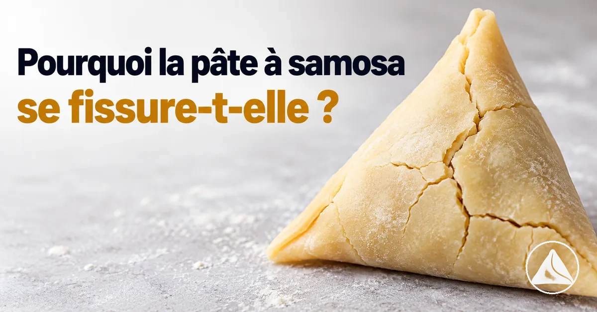 Pâte à samosa fissurée avec des craquelures sèches à la surface